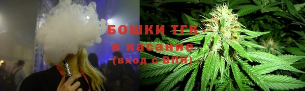 стаф Баксан