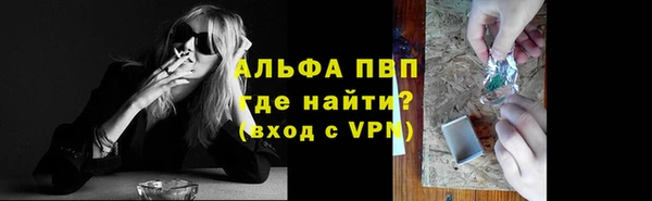 стаф Баксан
