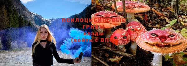 стаф Баксан