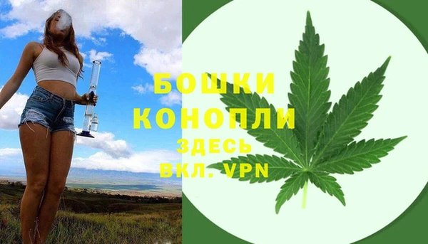 стаф Баксан