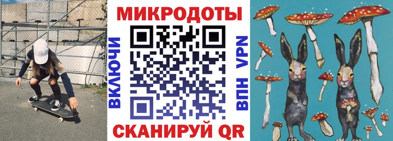 Галлюциногенные грибы Psilocybe  как найти   Ленинск 