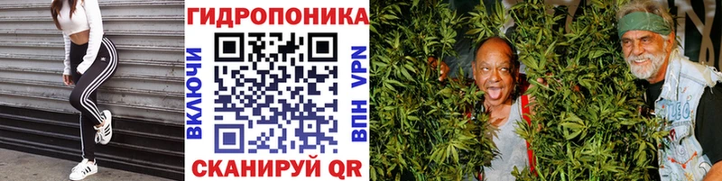 Каннабис сатива  наркота  Ленинск 